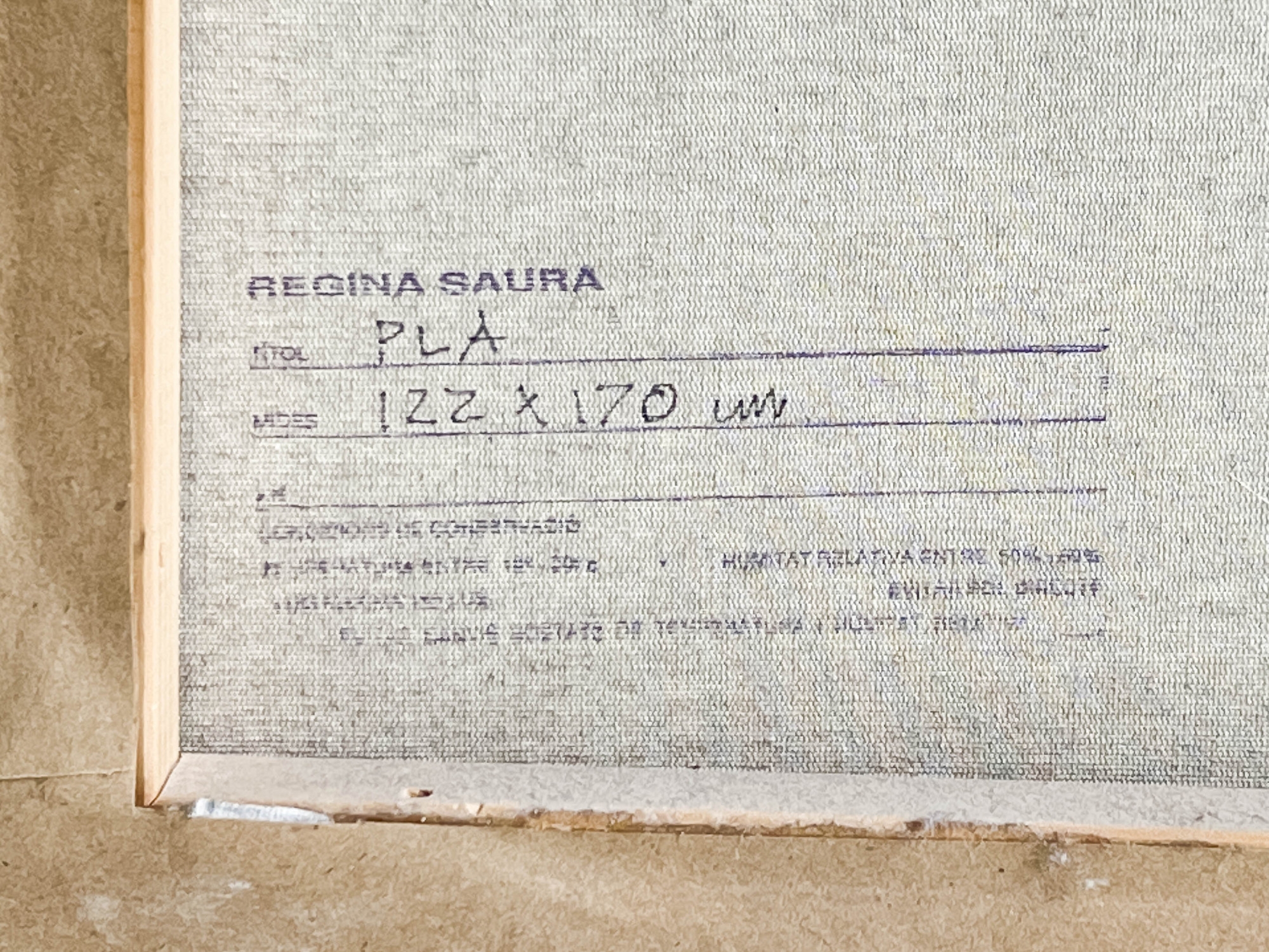 Artwork by Regina Saura, Pla, Made of mixed media on canvas