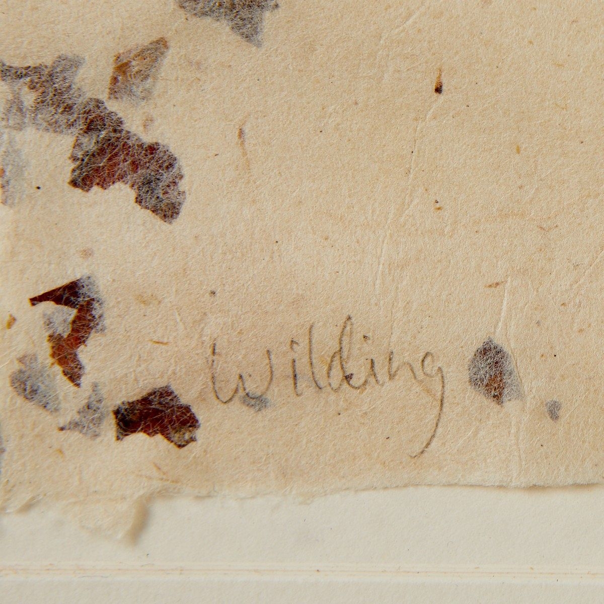 Artwork by Karen Kunc, Wilding, Made of Lithograph