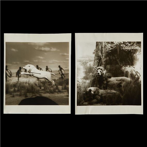 Lynn Geesaman | 2 Lynn Geesaman Lion Photographs (1986) | MutualArt