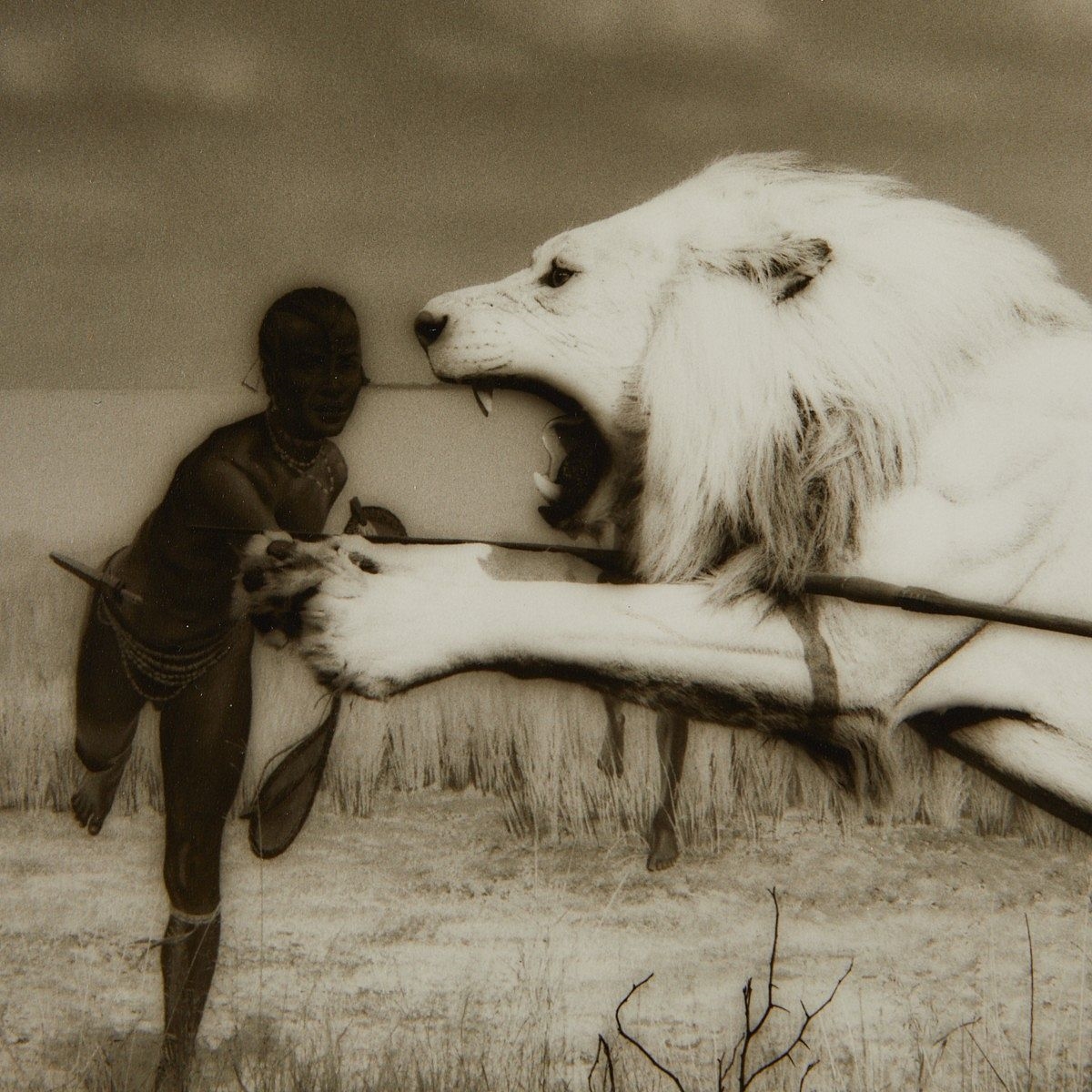 Lynn Geesaman | 2 Lynn Geesaman Lion Photographs (1986) | MutualArt