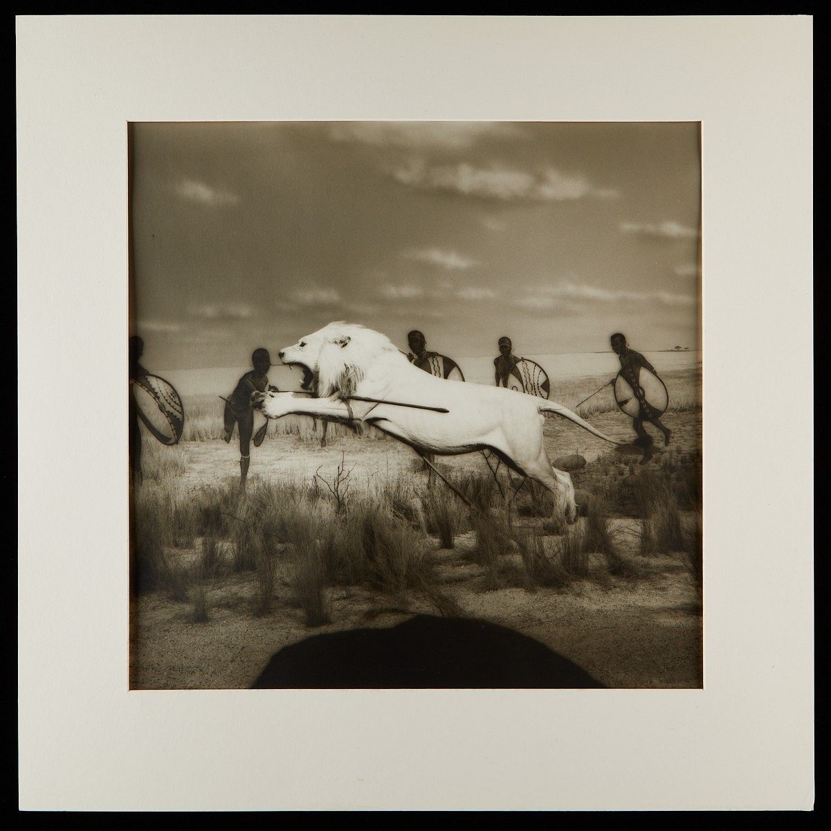 Lynn Geesaman | 2 Lynn Geesaman Lion Photographs (1986) | MutualArt