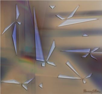 Diopter - Murray Hilton