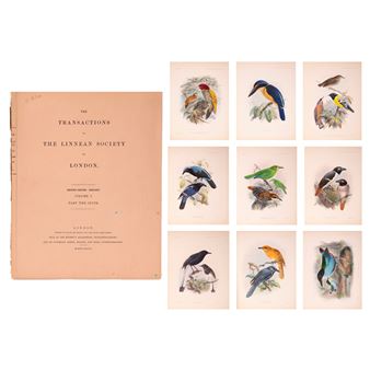 On the Birds Collected by Professor J. B. Steere in the Philippine Archipelago - Richard Bowdler Sharpe