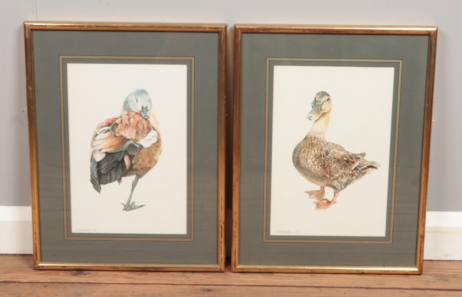 J. L. Pradera | Studies of ducks | MutualArt