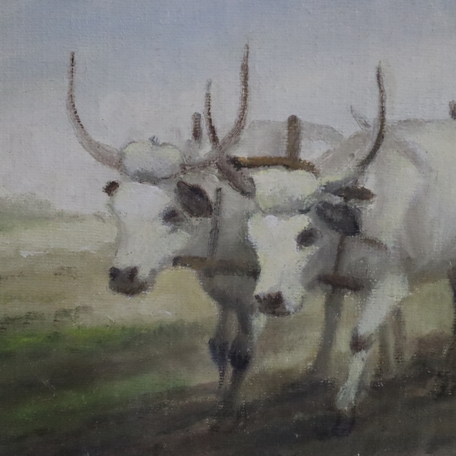 Artwork by Michel Kurche, "Szántás"