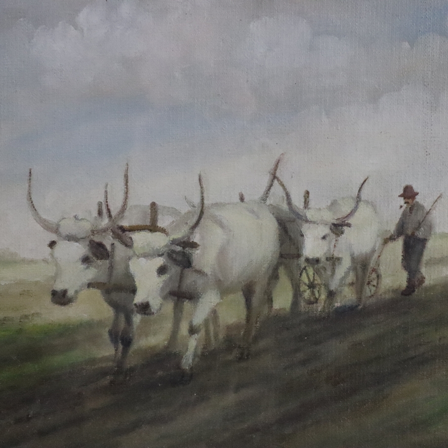 Artwork by Michel Kurche, "Szántás"