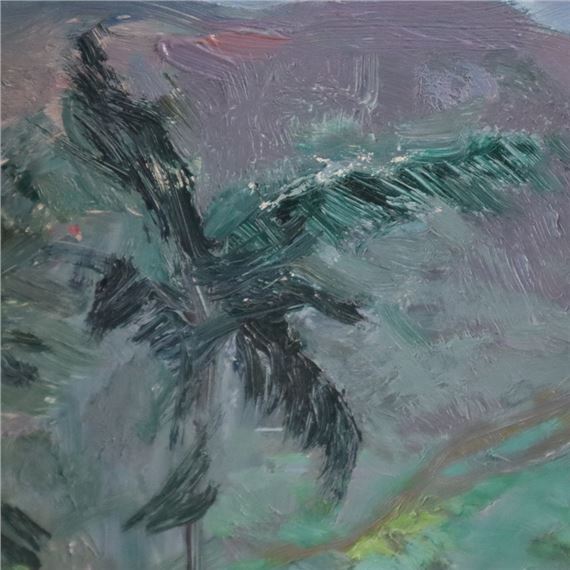 Fritz Eisel | Ceylonesische Berglandschaft | MutualArt