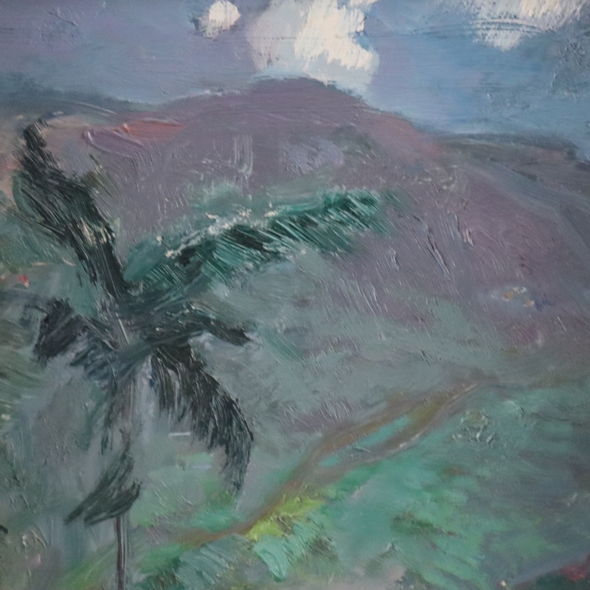 Fritz Eisel | Ceylonesische Berglandschaft | MutualArt