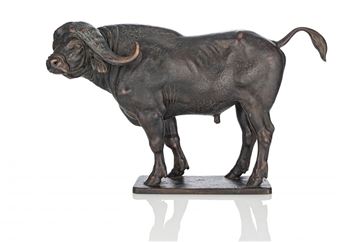 Buffalo - Helmut Diller