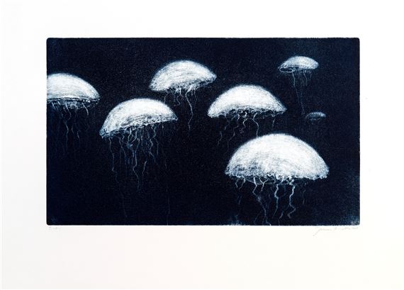 MEDÚZY by Brejcha Šimon, 2009