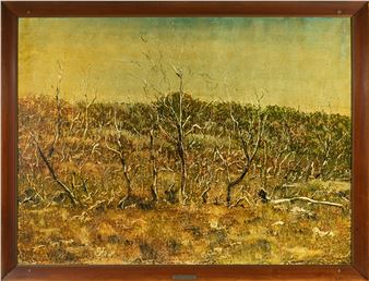 Dead Trees Cradle Mountain Road - Geoff Ryan