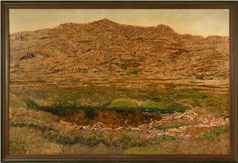 Summer Meadow Vale  Ben Lomond - Geoff Ryan