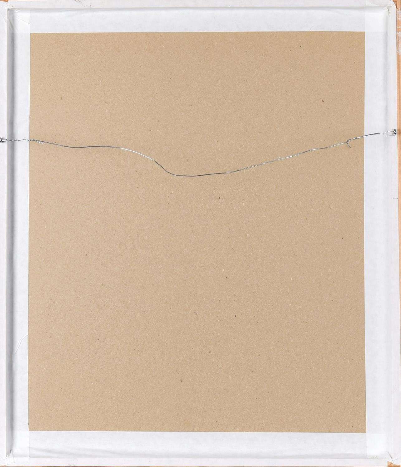 Artwork by Thord Magnusson, Motif of Northern Lapwings over the fields, Made of Watercolor on paper