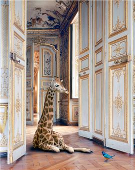 An eXhibition of SMALL things with BIG ideas - White Conduit Projects