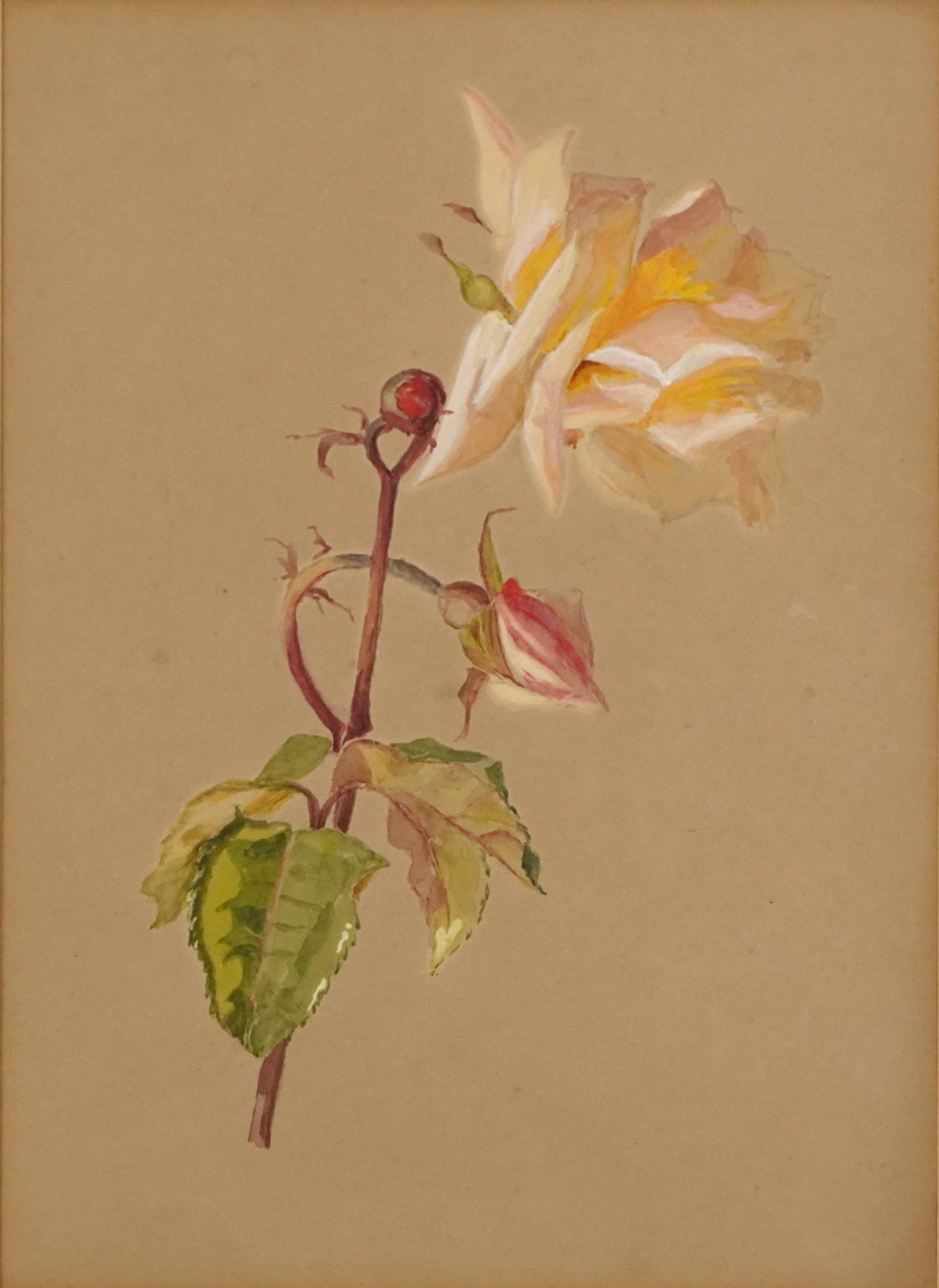 Marian Hegg | Still life | MutualArt