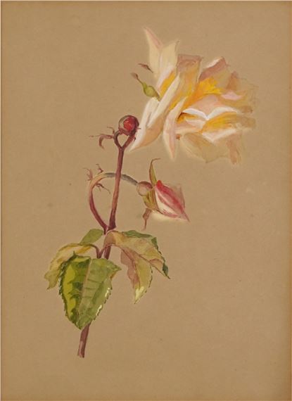 Marian Hegg | Still life | MutualArt