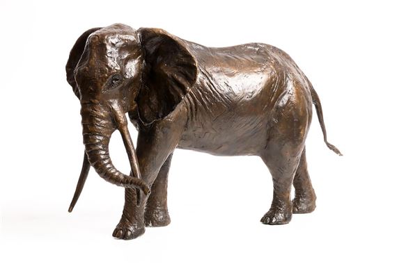 Bull Elephant by Mark Rode