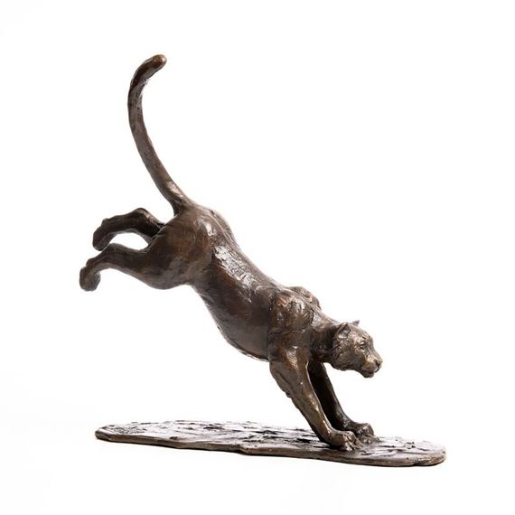 Snow Leopard by Mark Rode