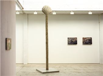 Terre en force - Kusseneers Gallery