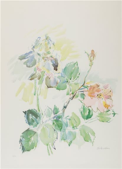 Schwertlilien mit Rosen