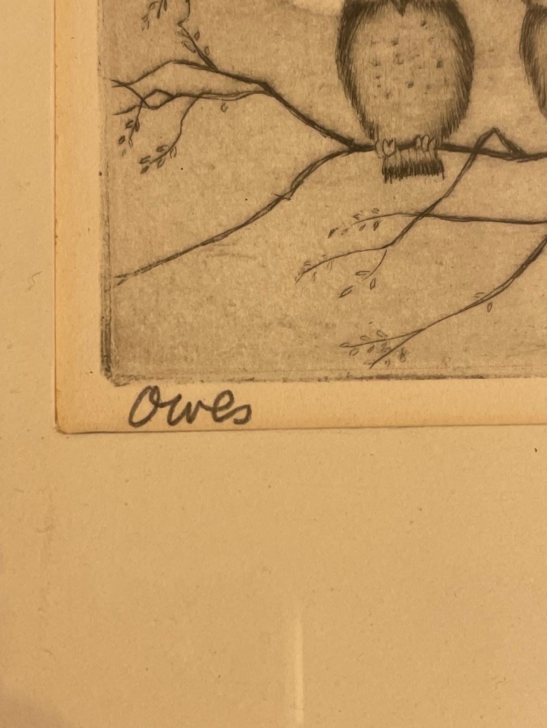 James Swann JAMES SWANN Etching OWLS MutualArt