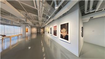 Family Tree - Dowd Gallery, SUNY Cortland