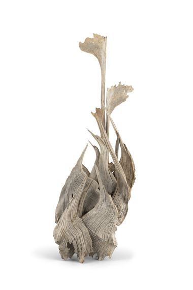 Nile Mangrove - Ian Stuart