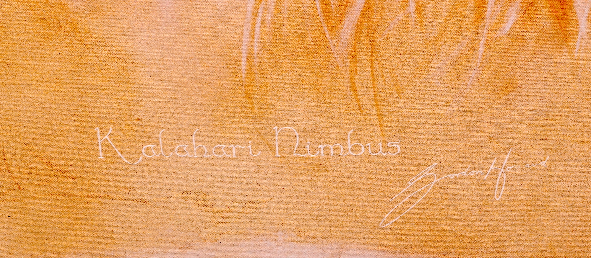 Artwork by Gordon Howard, KALAHARI NIMBUS, Made of acrylic on canvas