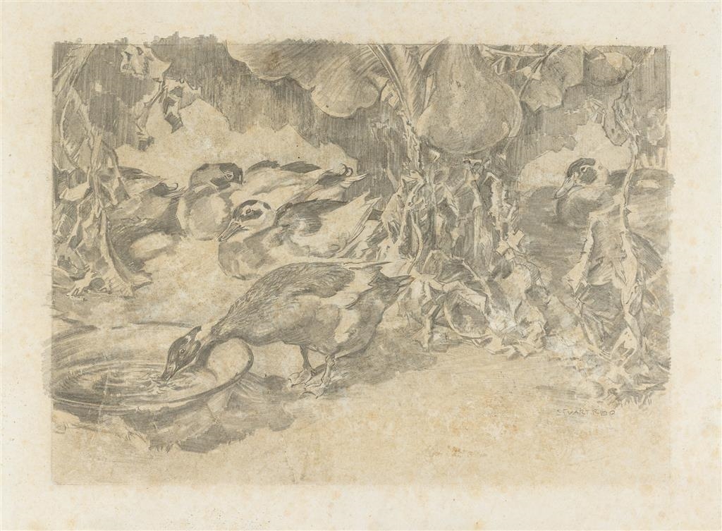 Stuart Reid | Flock of ducks | MutualArt