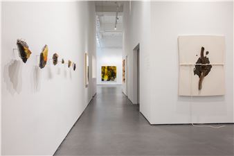 External Entrails - Silverlens, New York