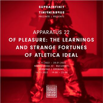 Apparatus 22: Of Pleasure: The Learnings and Strange Fortunes of Atletica Ideal - Suprainfinit Gallery