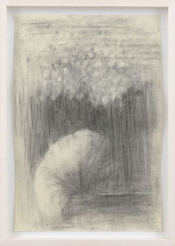 Untitled by Andrea Fogli, 2009