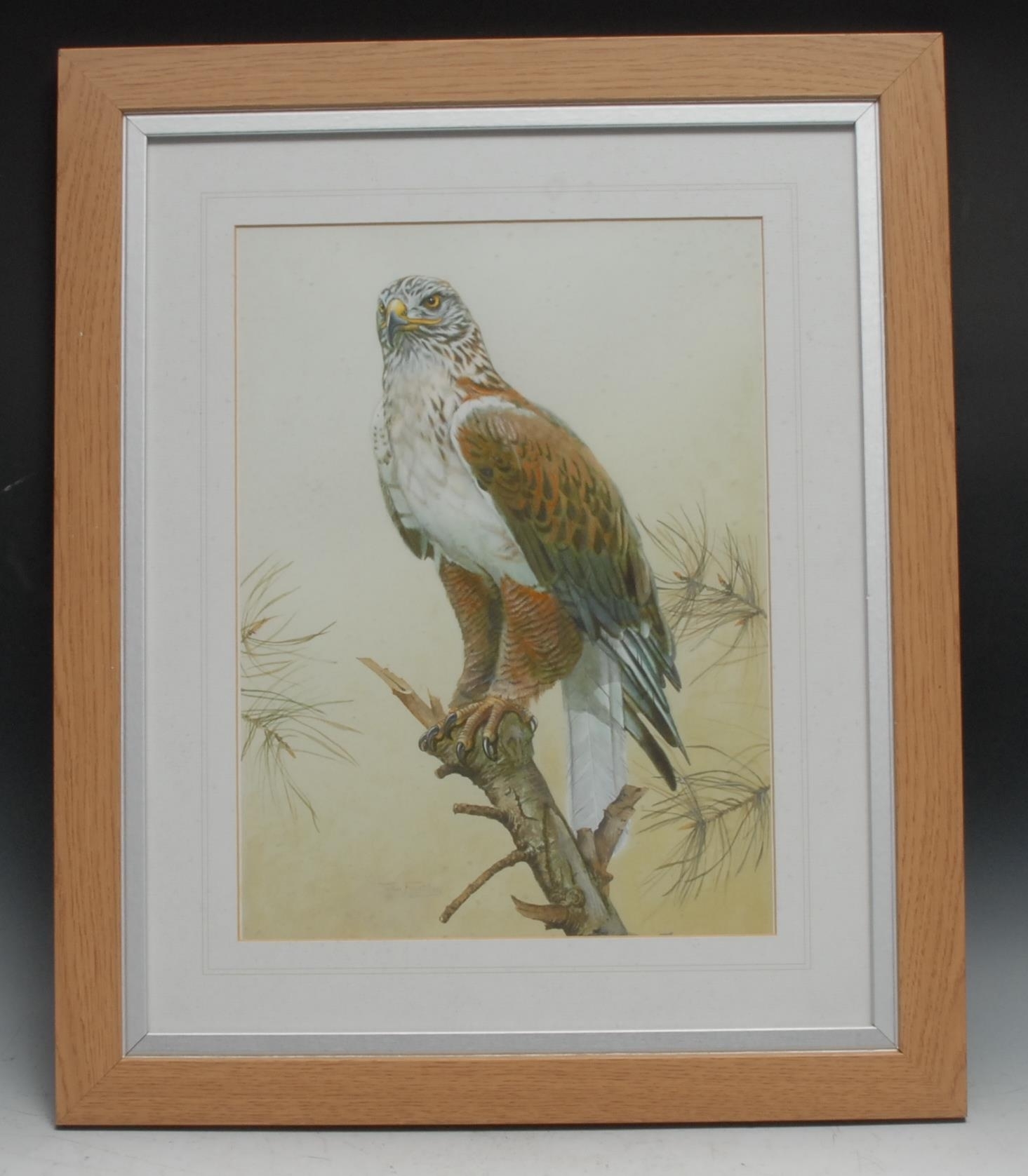 John Eastley | John Eastley Bird of Prey | MutualArt