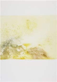 Ici, il faut voler - Cécile Ronc