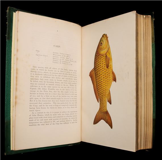 Jonathan Couch | COUCH, JONATHAN. A HISTORY OF FISHESBRITISH