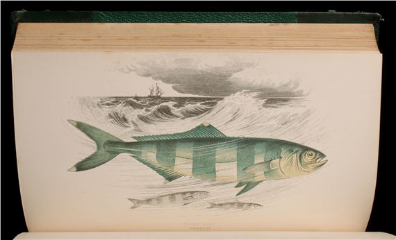 Jonathan Couch | COUCH, JONATHAN. A HISTORY OF FISHESBRITISH
