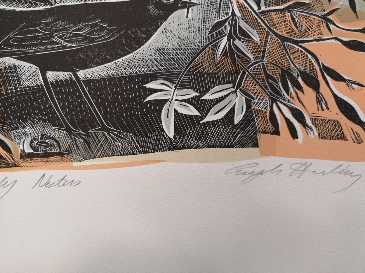 Artwork by Angela Harding, Early Nesters, Made of screenprint
