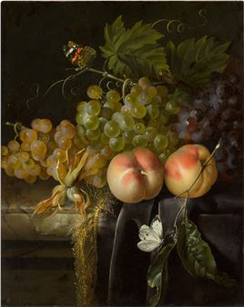 Still life of fruit, with peaches and grapes arranged on a velvet draped stone ledge, with butterflies - Anna Ruysch