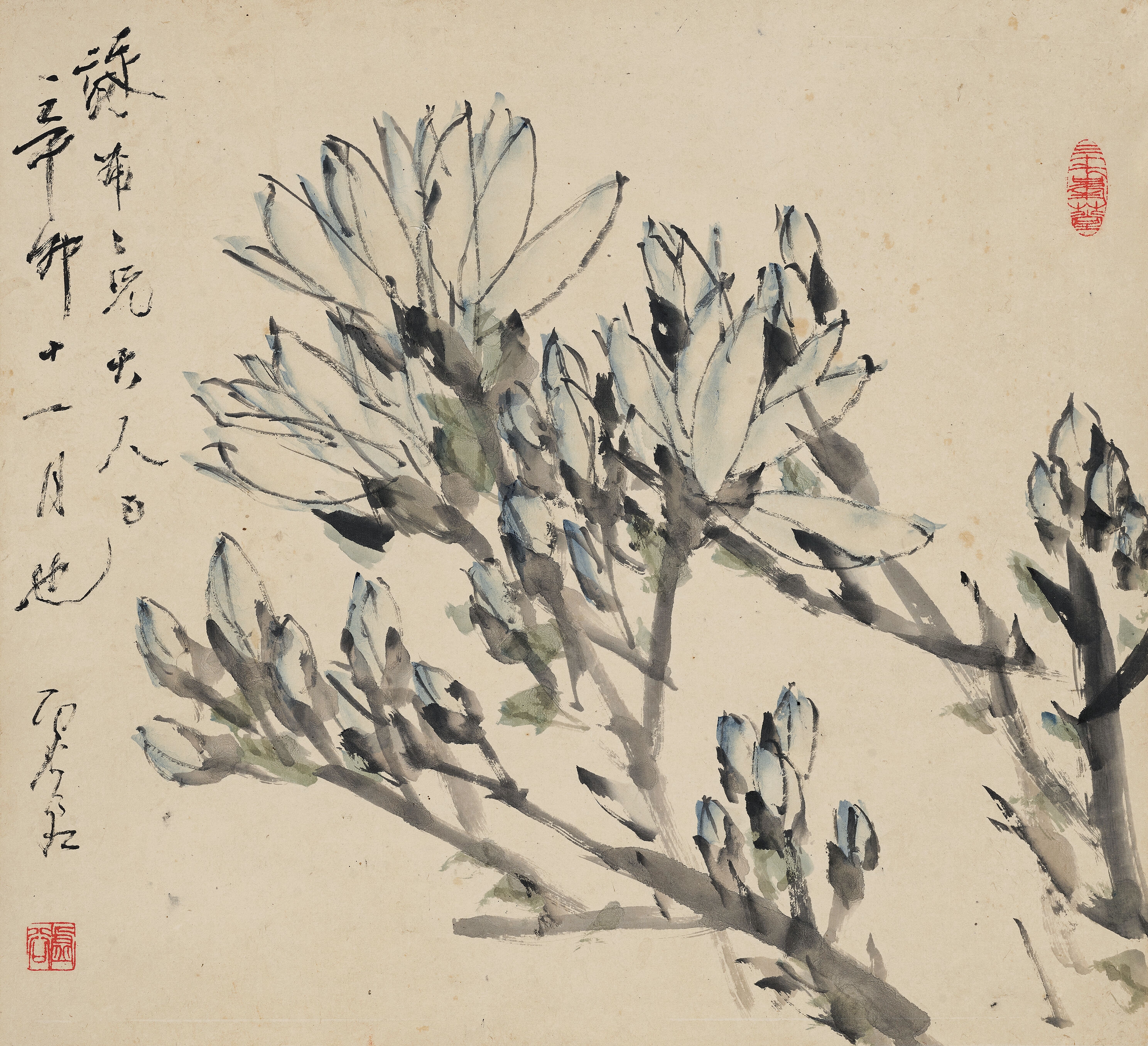 Virtual magnolia flower by Xu Gu, 1891