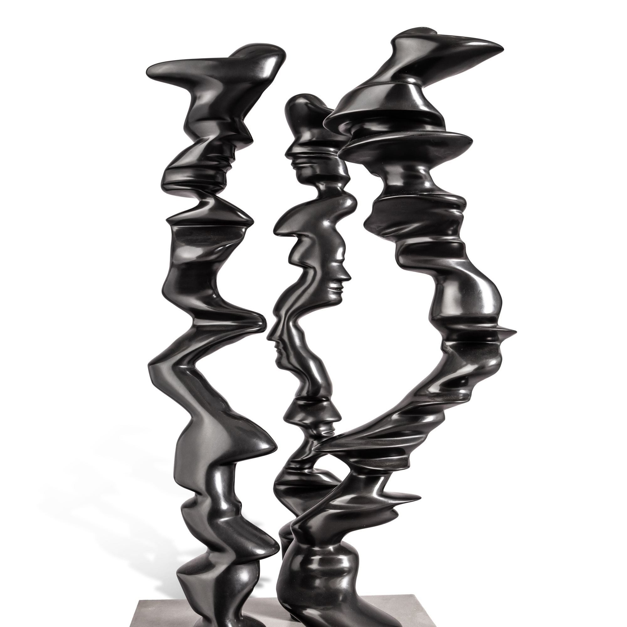 Tony Cragg Points of view (2007) MutualArt