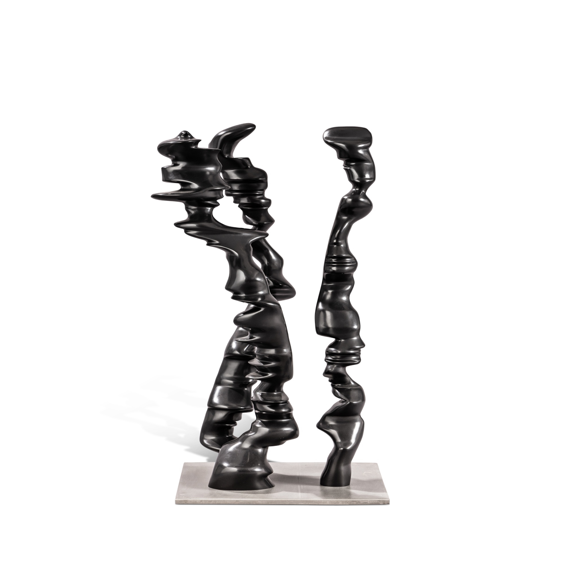 Tony Cragg Points of view (2007) MutualArt