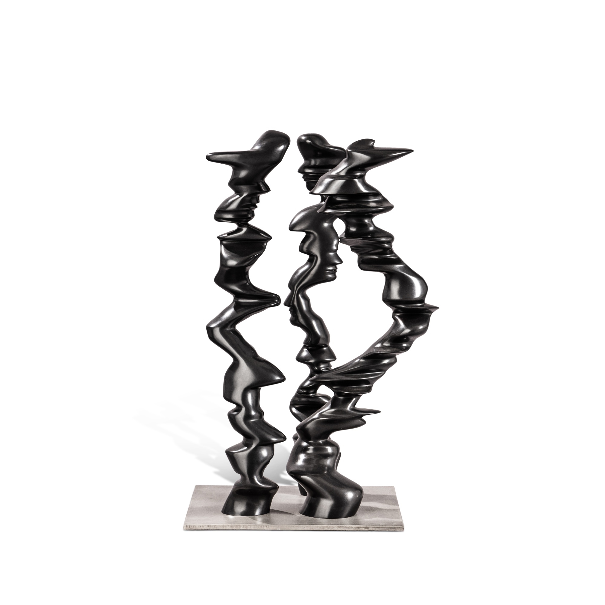 Tony Cragg Points of view (2007) MutualArt