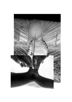 Annual Editions 2022/2023 - Kunstverein Braunschweig