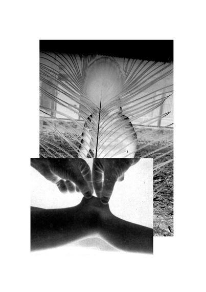 Annual Editions 2022/2023 - Kunstverein Braunschweig