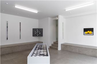 Gavin Hipkins: Camera Work - Hamish McKay Gallery