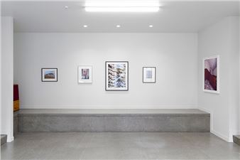 Peter Peryer: Colour - Hamish McKay Gallery