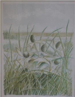 Sea Holly - Alan Grabham