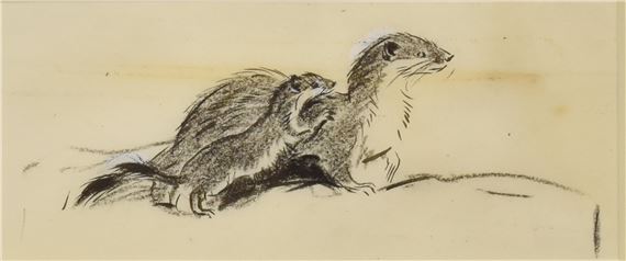 Eileen Alice Soper | A mother stoat and her young | MutualArt