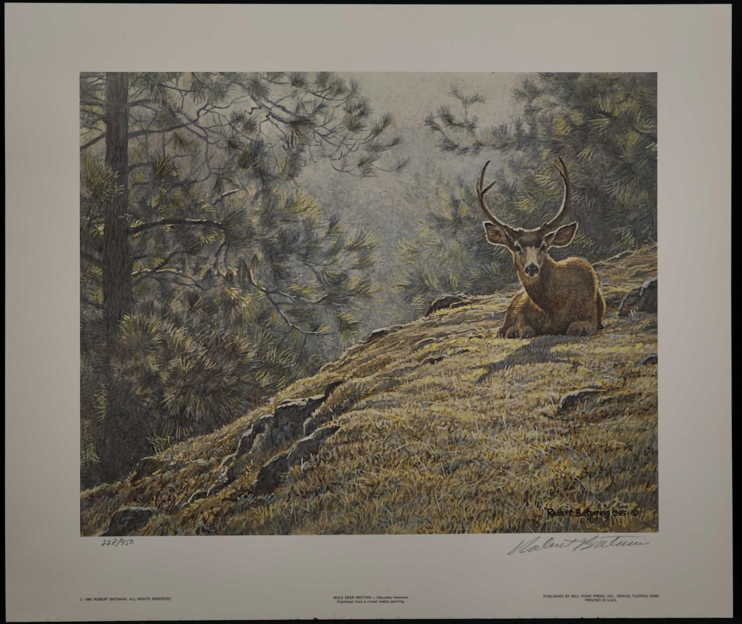 Framed Premium Print Crossing the Ridge - Mule Deer by Rosemary