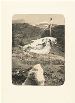 “Aber Hanfstaengel, elastisch, in ewiger Jugend, schwebt über der Vernichtung, neuen Taten entgegen schreitend” - Franz Roh